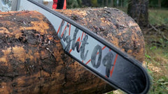 23bf0947-80a9-4a78-5386-08ddbaf4b5b8