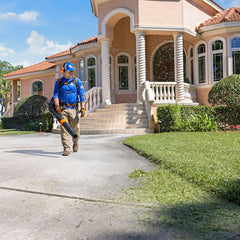 d3be5a1d-a617-4d66-f8f7-08dd9864623c