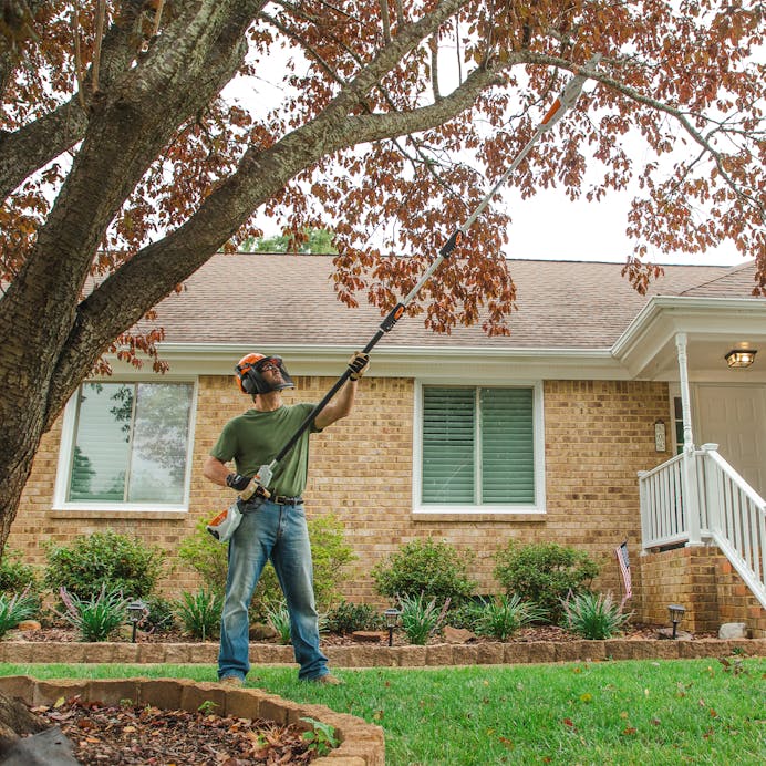 2f01d537-1b52-4b4f-460f-08dd76c2ed35